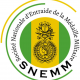 Logo snemm